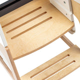 Toucan 3-in-1 Learning Tower